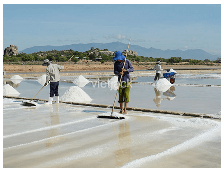 Những người làm muối (từ nước biển sạch) có thể sử dụng những cách làm nước bay hơi