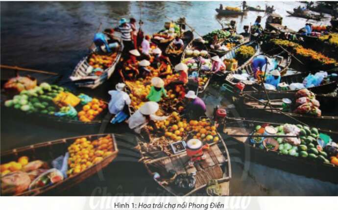 Soạn bài Chợ Nổi - nét văn hóa sông nước miền Tây | Chân trời sáng tạo Ngữ văn lớp 10 (ảnh 2)