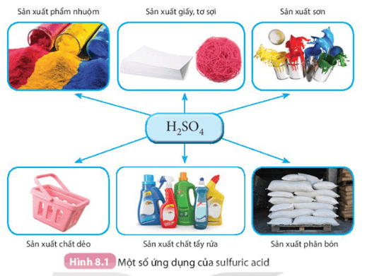 Sử dụng Hình 8.1 để trình bày về các ứng dụng của sulfuric acid